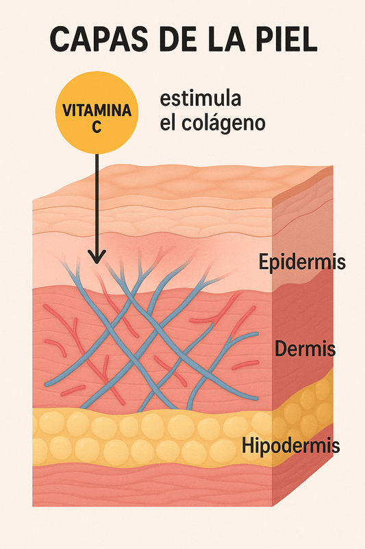 Beneficios de la Vitamina C en Cosmética
