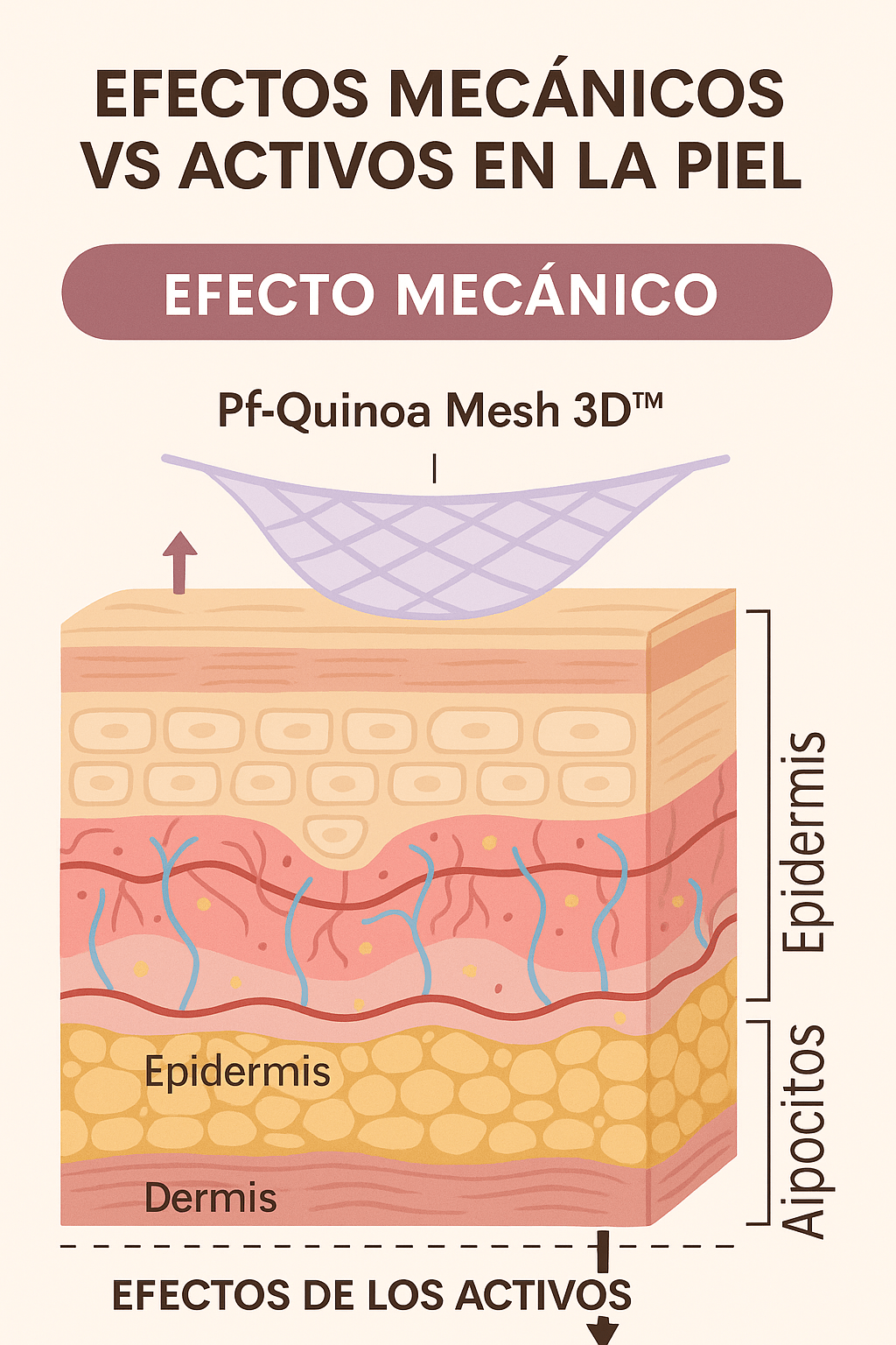 Efectos mecánicos en cosmética: lo que realmente significa “efecto tensor